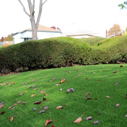 Artificial Turf in Kanorado, Kansas