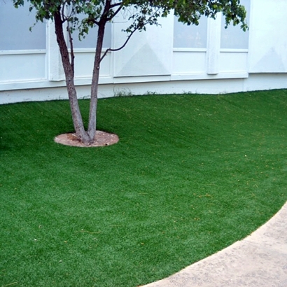 Synthetic Turf Utica, Kansas City Landscape, Commercial Landscape