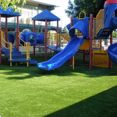 Synthetic Grass in Walton, Kansas