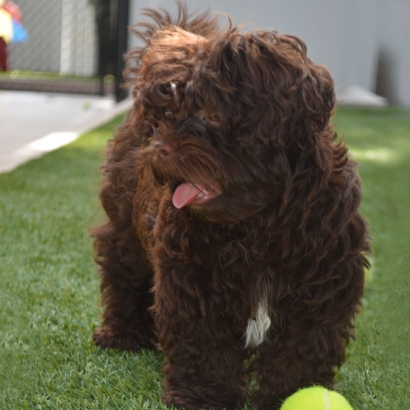 Artificial Turf in Gridley, Kansas