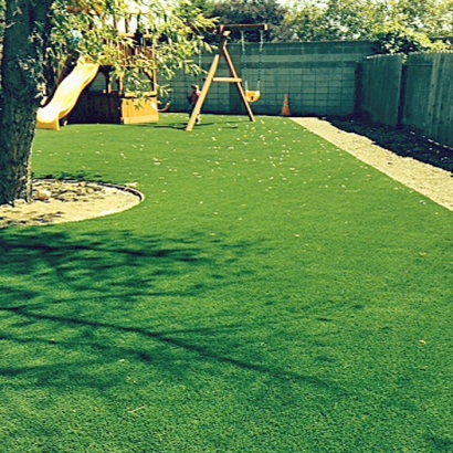 Lone Elm, Kansas Grass Artificial