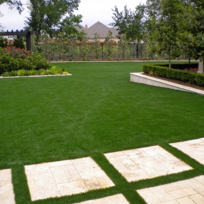 Synthetic Grass in Argonia, Kansas