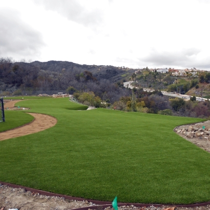 Artificial Grass in Williamsburg, Kansas