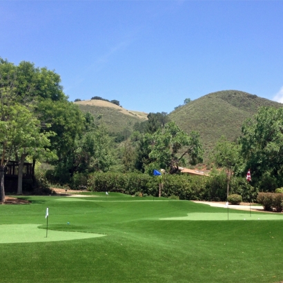 Artificial Grass in Coyville, Kansas