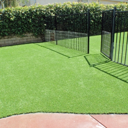 Synthetic Turf: Resources in Spivey, Kansas