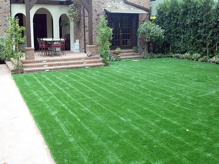 Artificial Grass Burlington, Kansas Rooftop, Front Yard Landscape Ideas