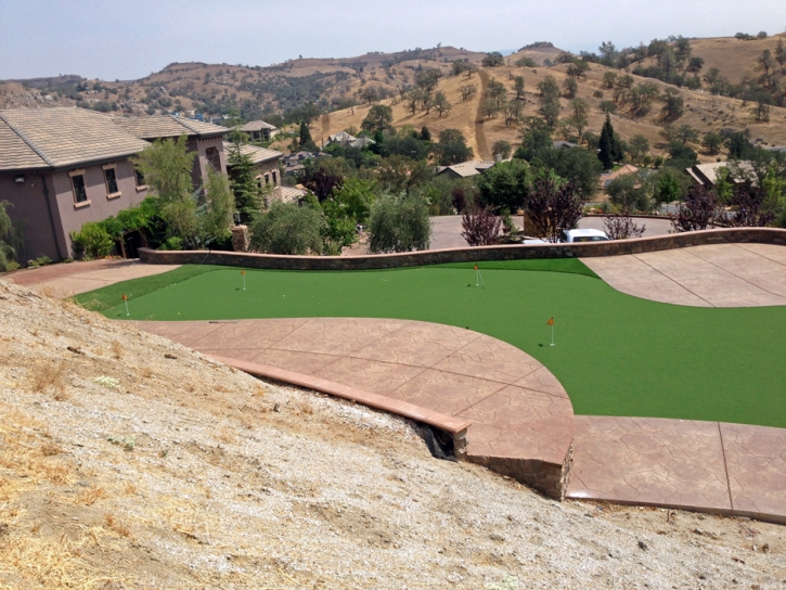 Artificial Grass Bushton, Kansas Backyard Putting Green, Backyard Ideas