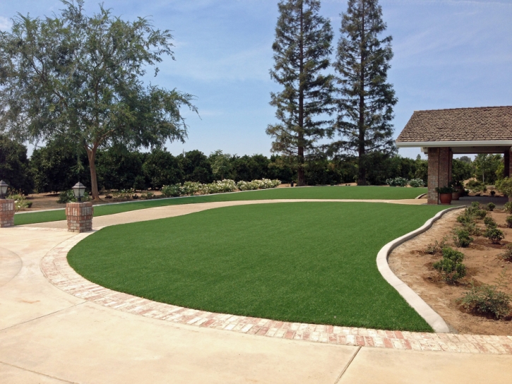 Artificial Grass Carpet Catharine, Kansas Gardeners, Front Yard Landscaping Ideas