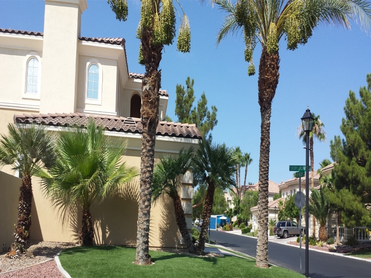 Artificial Grass Carpet Coldwater, Kansas Garden Ideas, Front Yard Landscaping Ideas