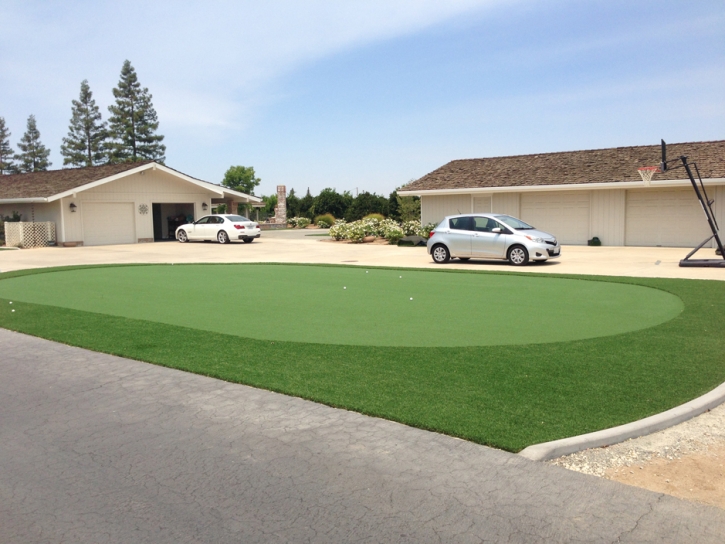 Artificial Grass Carpet Ellsworth, Kansas Landscape Ideas, Front Yard Landscape Ideas