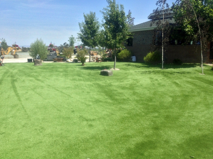 Artificial Grass Carpet Falun, Kansas Indoor Dog Park, Parks