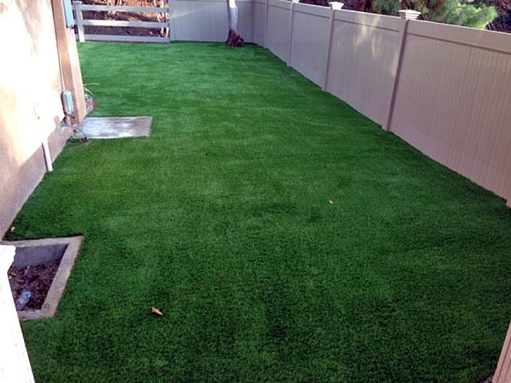 Artificial Grass Carpet Garden Plain, Kansas Dog Parks, Backyard Ideas