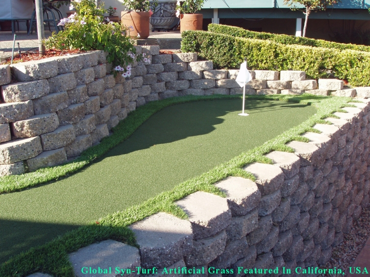 Artificial Grass Carpet Haysville, Kansas Landscape Design, Backyard Makeover