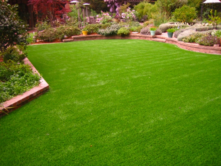 Artificial Grass Carpet Hoyt, Kansas Home And Garden, Backyard Makeover