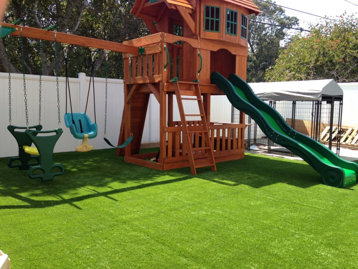 Artificial Grass Carpet Larned, Kansas Lawns, Backyard