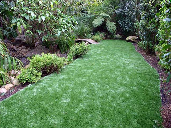 Artificial Grass Carpet Linn, Kansas Lawn And Garden, Backyard Ideas