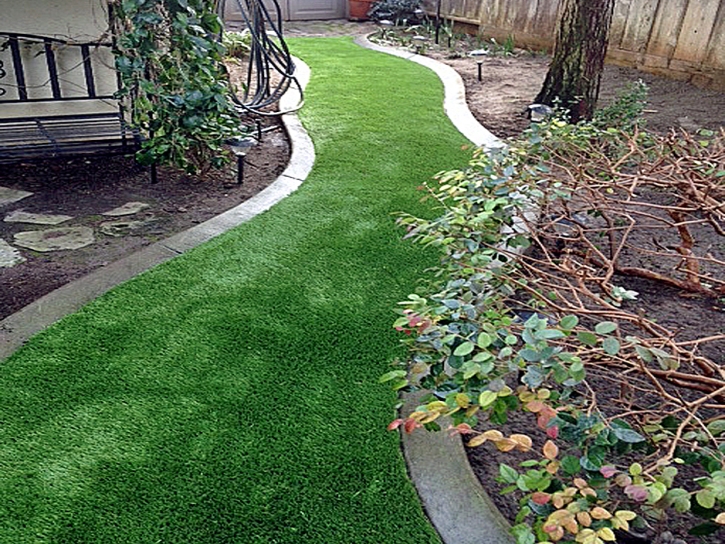 Artificial Grass Carpet Lost Springs, Kansas Landscape Design, Backyard Landscaping Ideas