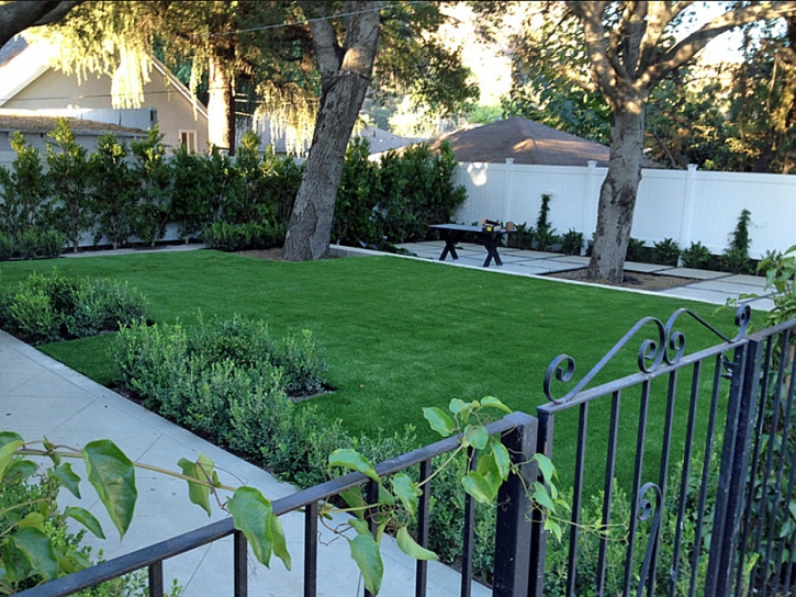 Artificial Grass Carpet North Newton, Kansas Home And Garden, Small Front Yard Landscaping