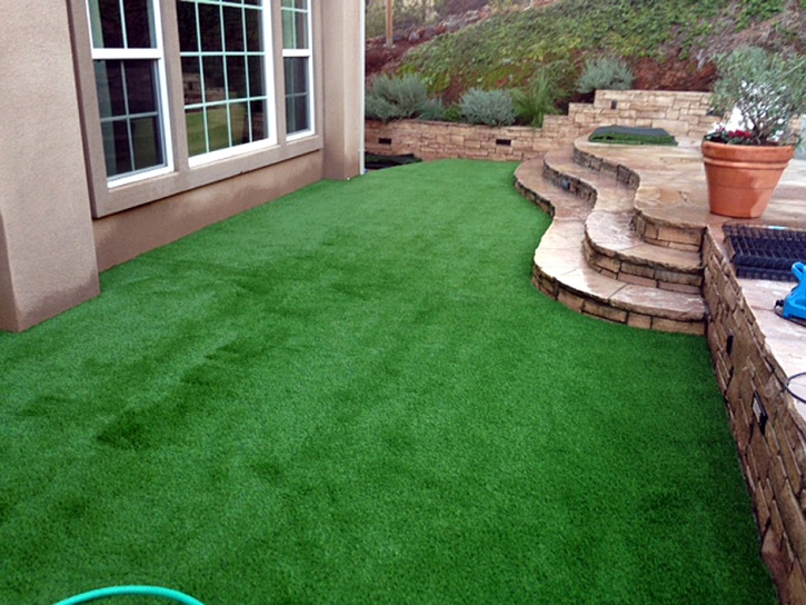 Artificial Grass Carpet Strong City, Kansas Roof Top, Small Backyard Ideas