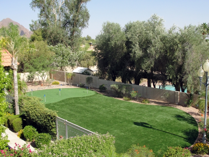 Artificial Grass Carpet Tescott, Kansas Gardeners, Backyard