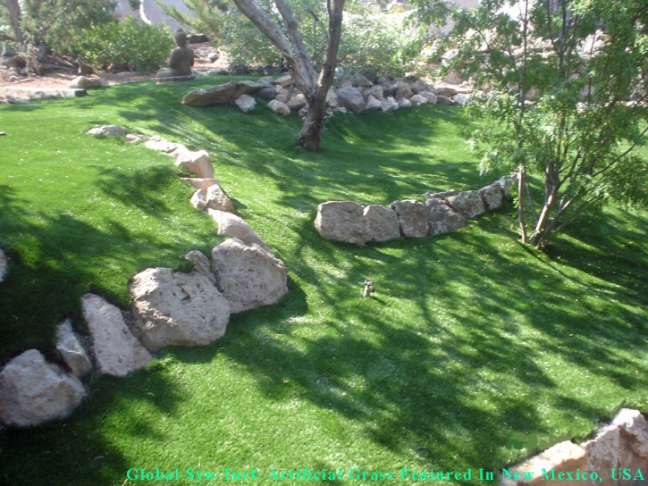 Artificial Grass Carpet Valley Center, Kansas Landscape Ideas, Commercial Landscape