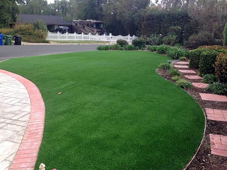 Artificial Grass Carpet Wilmore, Kansas Lawn And Landscape, Front Yard