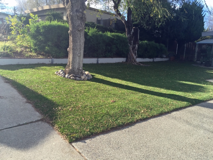 Artificial Grass Elmdale, Kansas Landscape Rock, Front Yard Design
