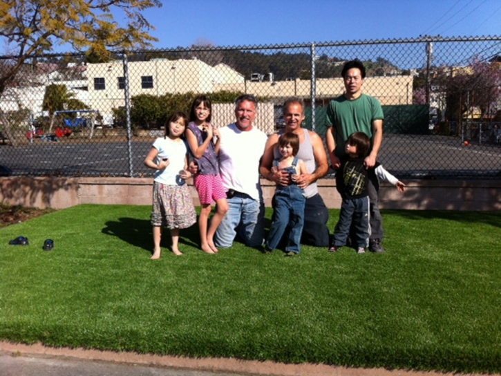 Artificial Grass Galesburg, Kansas Backyard Playground, Commercial Landscape