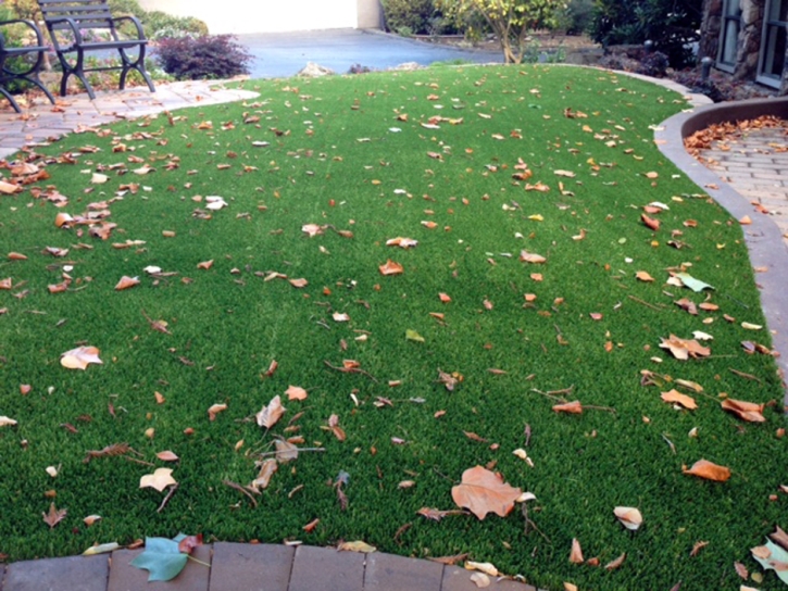 Artificial Grass Garden City, Kansas Landscape Ideas, Front Yard Landscape Ideas