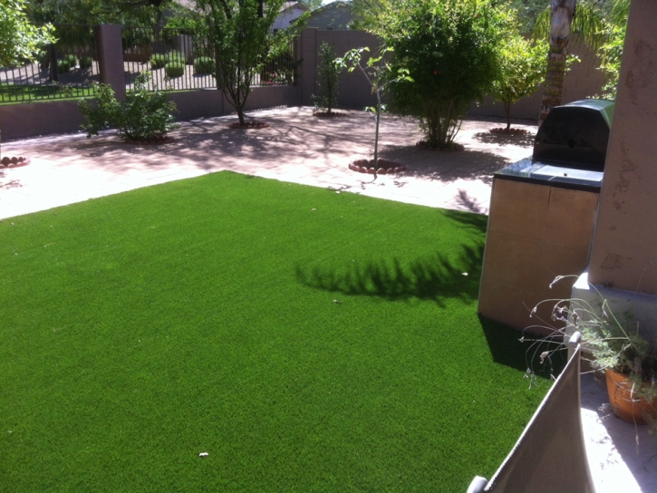 Artificial Grass Installation Ellinwood, Kansas Artificial Grass For Dogs, Backyard Designs