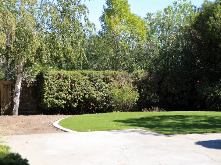 Artificial Grass Installation Fontana, Kansas Home And Garden, Backyard