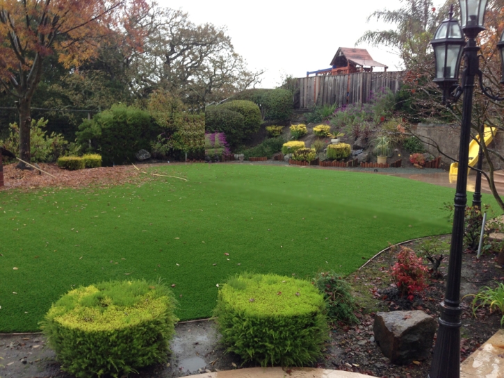 Artificial Grass Installation Horton, Kansas Design Ideas, Backyard Landscape Ideas