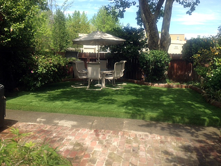 Artificial Grass Installation Logan, Kansas Gardeners, Backyards