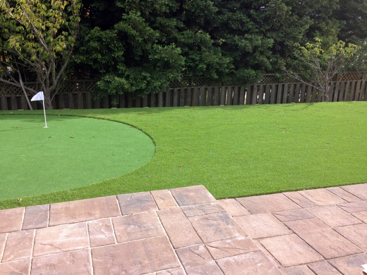 Artificial Grass Installation Plains, Kansas Landscape Ideas, Backyard Design