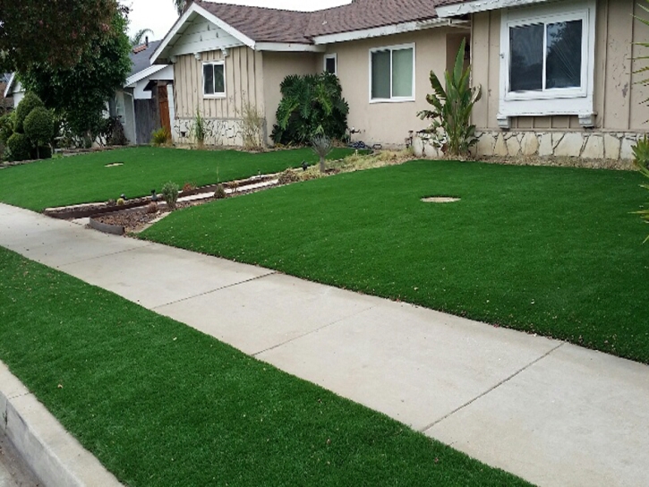 Artificial Grass Installation Waterville, Kansas Home And Garden, Front Yard Landscaping Ideas