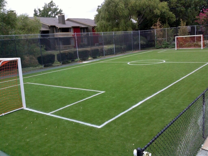 Artificial Grass Kiowa, Kansas Red Turf, Commercial Landscape