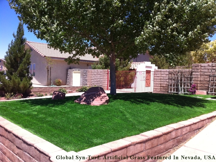 Artificial Grass Mulvane, Kansas Lawn And Garden, Front Yard