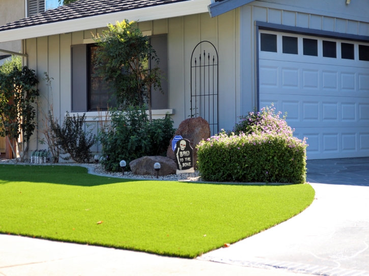 Artificial Grass Ozawkie, Kansas Gardeners, Front Yard Ideas