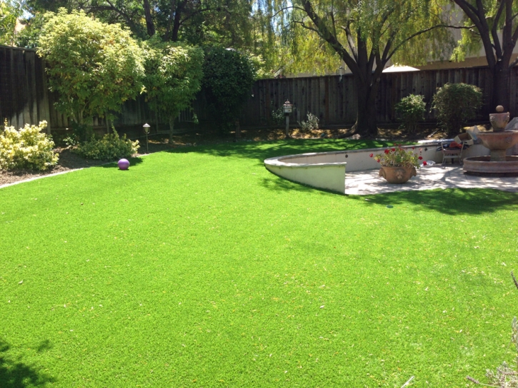 Artificial Grass Turon, Kansas Backyard Deck Ideas, Backyard Landscape Ideas