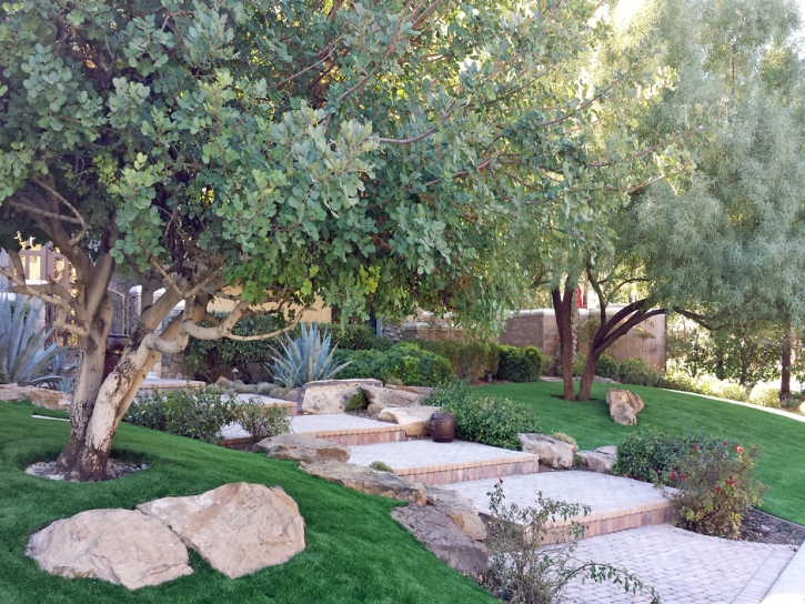 Artificial Lawn Burlingame, Kansas Home And Garden, Backyard Design