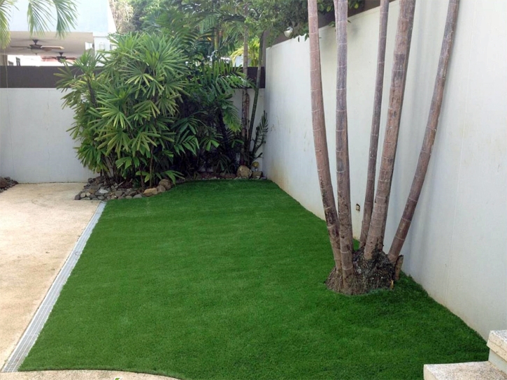 Artificial Lawn Edgerton, Kansas Home And Garden, Small Backyard Ideas