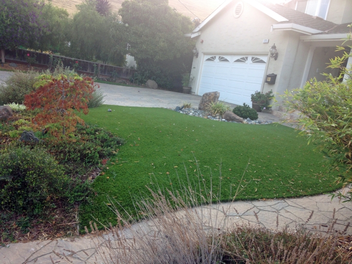 Artificial Lawn Elwood, Kansas Gardeners, Front Yard Landscaping Ideas