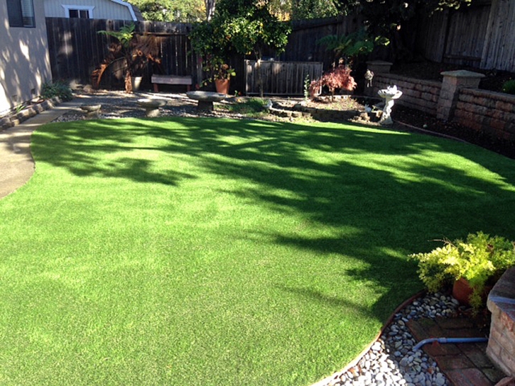 Artificial Lawn Isabel, Kansas Lawns, Backyard Landscaping