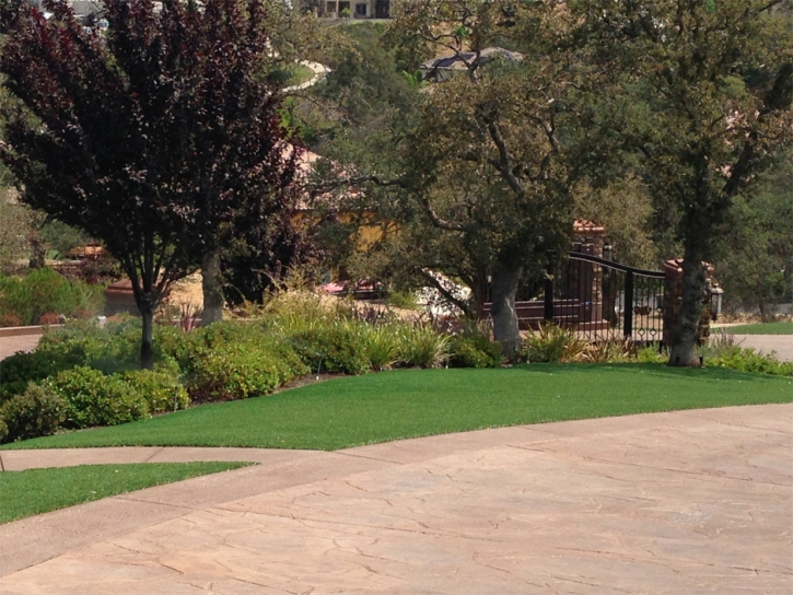 Artificial Lawn Medicine Lodge, Kansas Rooftop, Backyard Ideas