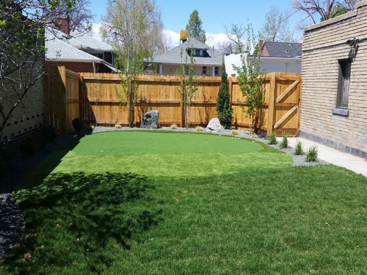 Artificial Lawn Moline, Kansas Landscape Photos, Backyard Design