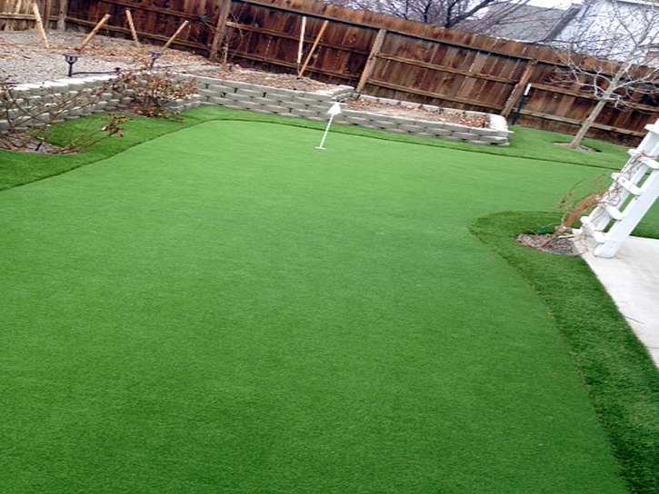 Artificial Lawn Moline, Kansas Landscape Ideas, Backyard Design