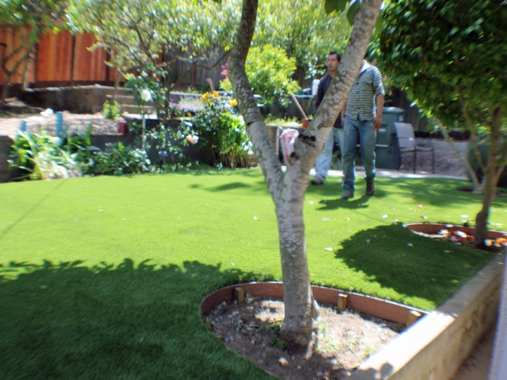 Artificial Lawn Pratt, Kansas Paver Patio, Backyard Landscaping