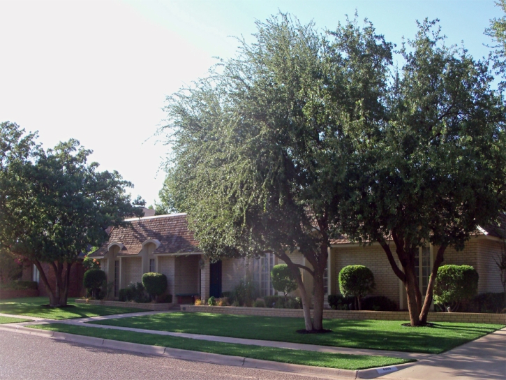 Artificial Lawn Severy, Kansas Roof Top, Front Yard