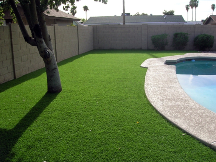 Artificial Lawn Wheaton, Kansas Garden Ideas, Backyard Garden Ideas