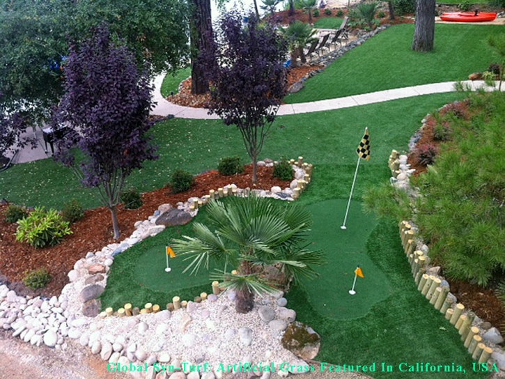 Artificial Lawn Wichita, Kansas Putting Green, Backyards